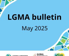LGMA Roadmap towards COP30 bulletin – May 2025