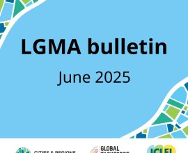 LGMA Roadmap towards COP30 bulletin – June 2025