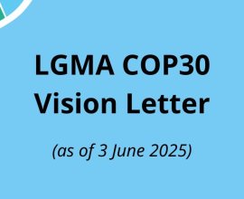 LGMA COP30 Vision Letter (3 June 2025)