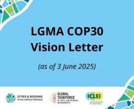 LGMA COP30 Vision Letter (3 June 2025)