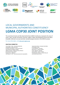 cover-cop30-position