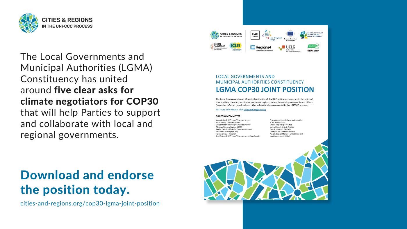 lgma-cop30-position