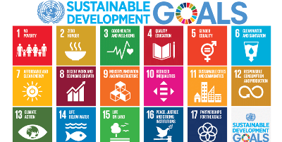 sdgs